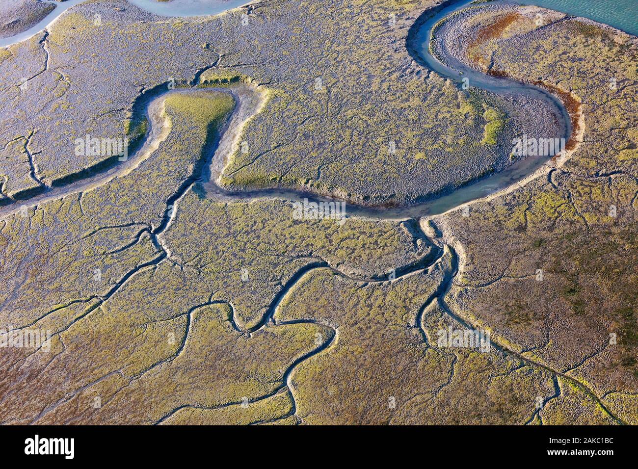 Frankreich, Charente Maritime, Ile de Re, Les Portes En Re, Lilleau des Niges Naturschutzgebiet, Schlamm von Fier d'Ars bei Ebbe (Luftbild) Stockfoto