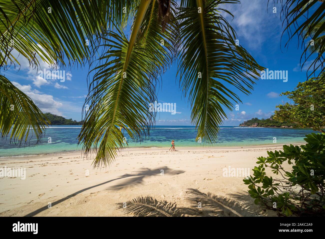 Seychellen, Mahe Island, Wanderer an einem weißen Sandstrand, gesäumt von Kokospalmen in Baie Lazare Stockfoto