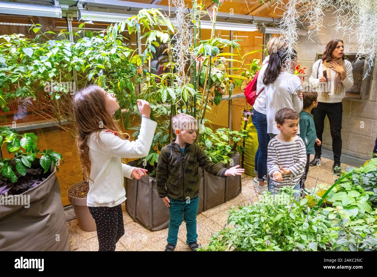 Frankreich, Paris, Parc de la Villette, Stadt der Wissenschaft und der Industrie, der Stadt der Kinder 5-12 Jahre, der Schmetterling Gewächshaus Stockfoto