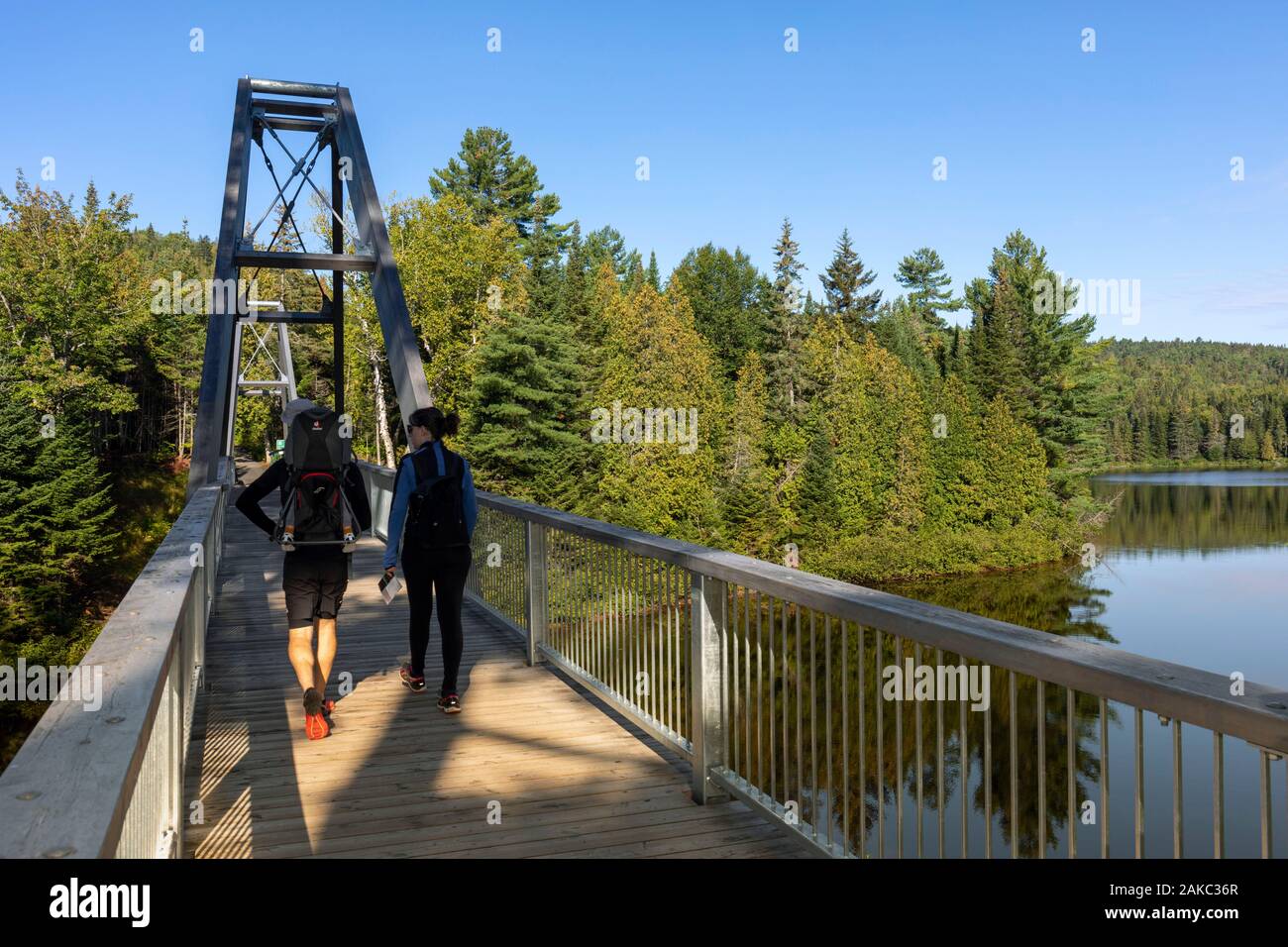 Kanada, Provinz Quebec Shawinigan Mauricie Region, Stadt, La Mauricie Nationalpark, Wapizagonke Shewenegan Recreation Area in der Nähe von See, Gehweg zu Wanderweg Stockfoto
