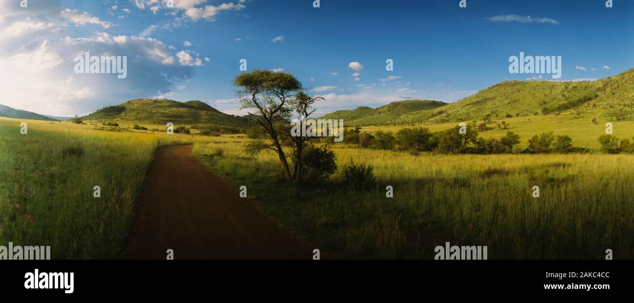 Unbefestigte Straße durch eine Landschaft läuft, Südafrika Stockfoto