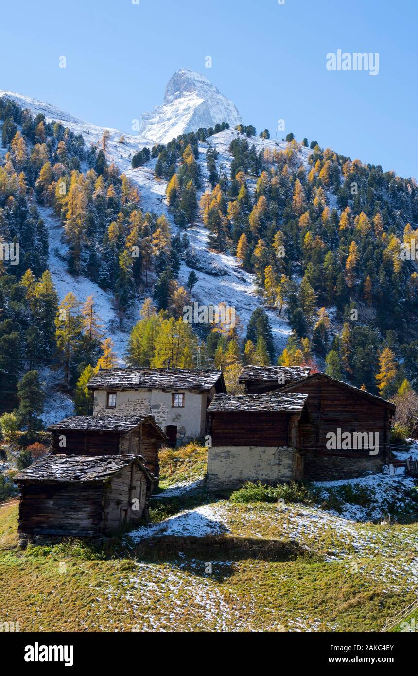 Schweiz, Wallis, Zermatt Tal, wandern zum Weiler Zmutt mit Blick auf das Matterhorn Stockfoto