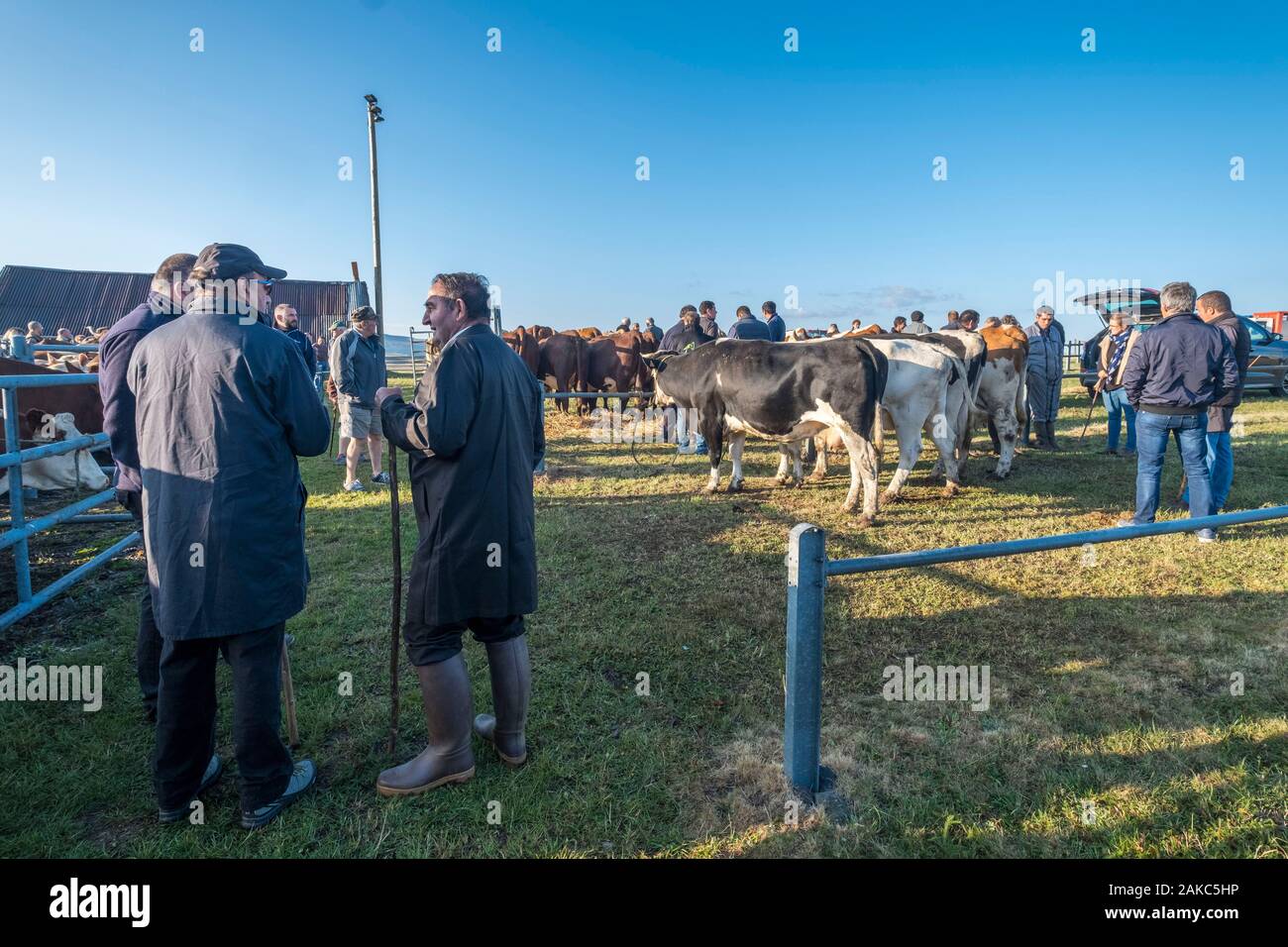 Frankreich, Puy de Dome, Beschwerden, Brion Viehmarkt, Regionaler Naturpark der Vulkane der Auvergne Stockfoto