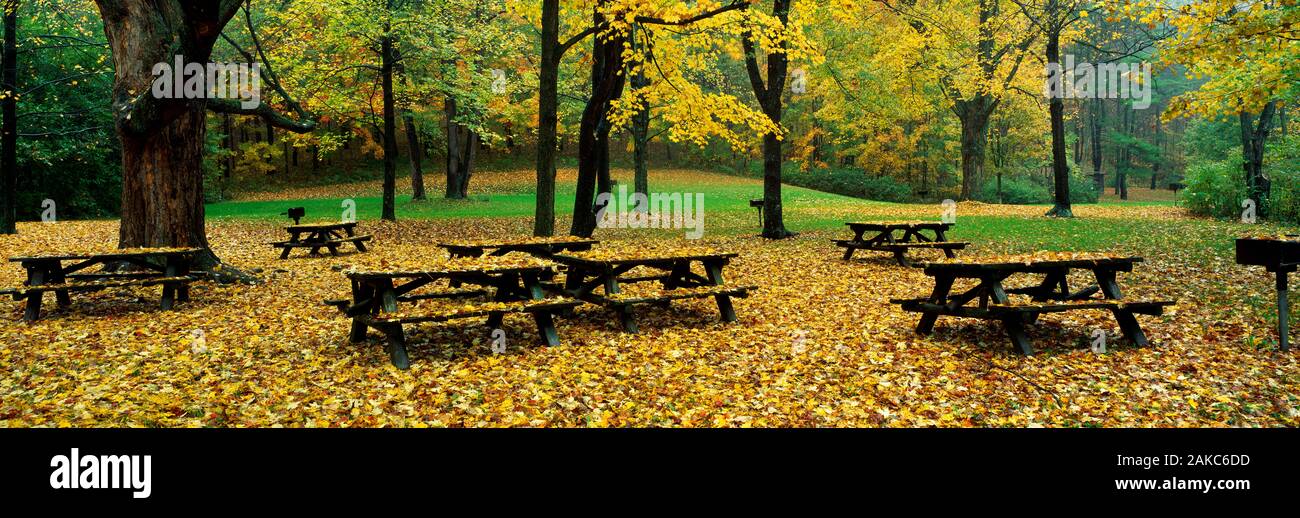 Blick auf Bänken in Robert Treman State Park, New York State, USA Stockfoto