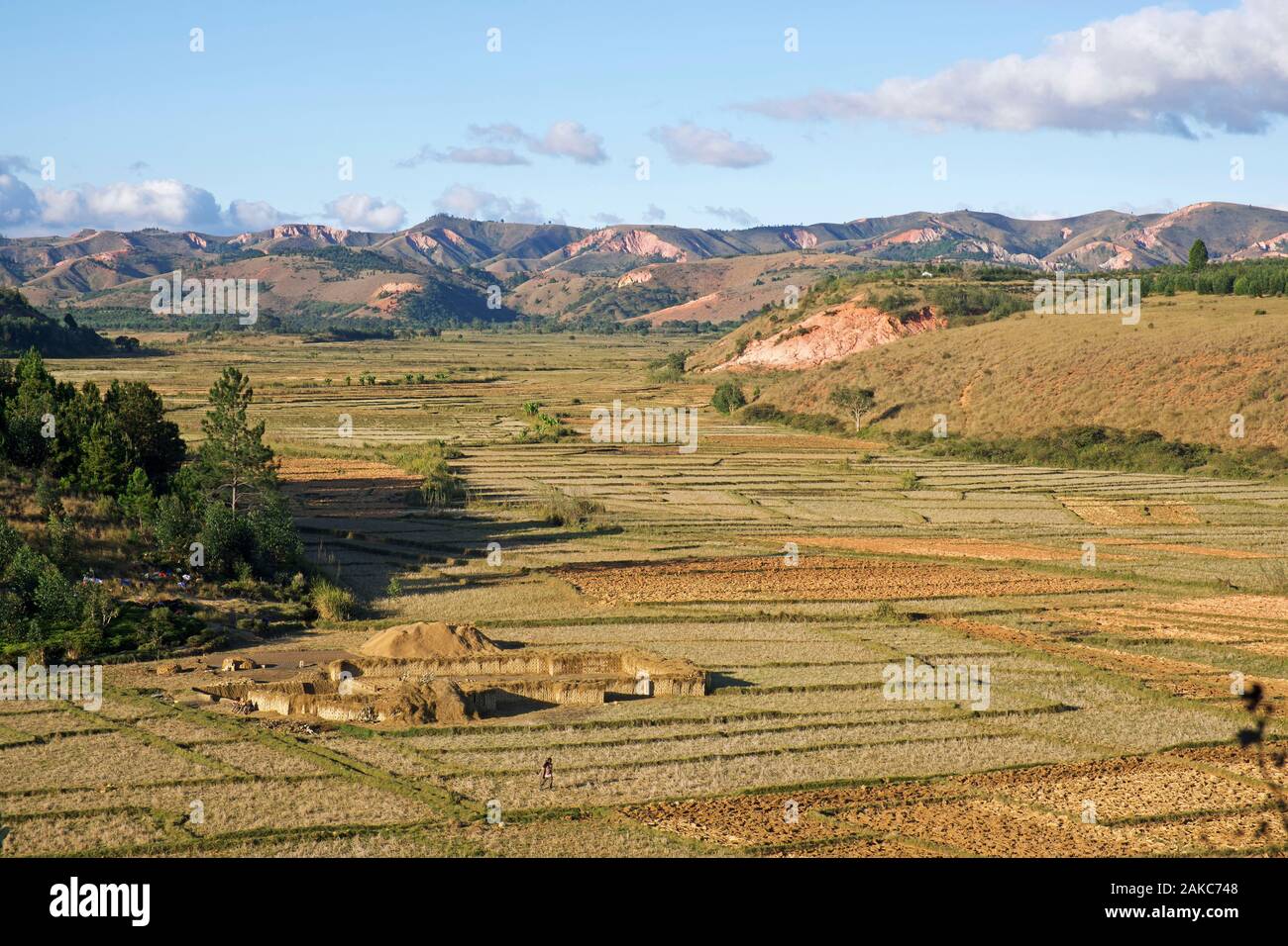 Madagaskar, die Landschaft auf dem Weg zwischen Antananarivo und Ambatondrazaka Stockfoto