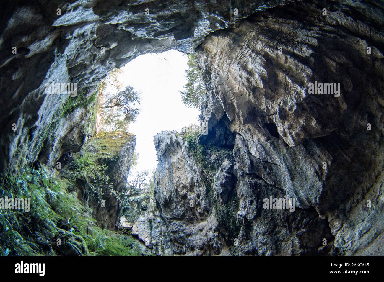 Frankreich, Lot, Geopark von Quercy, Höhle von Bach gological Min von Phosphat, touristische Website Stockfoto