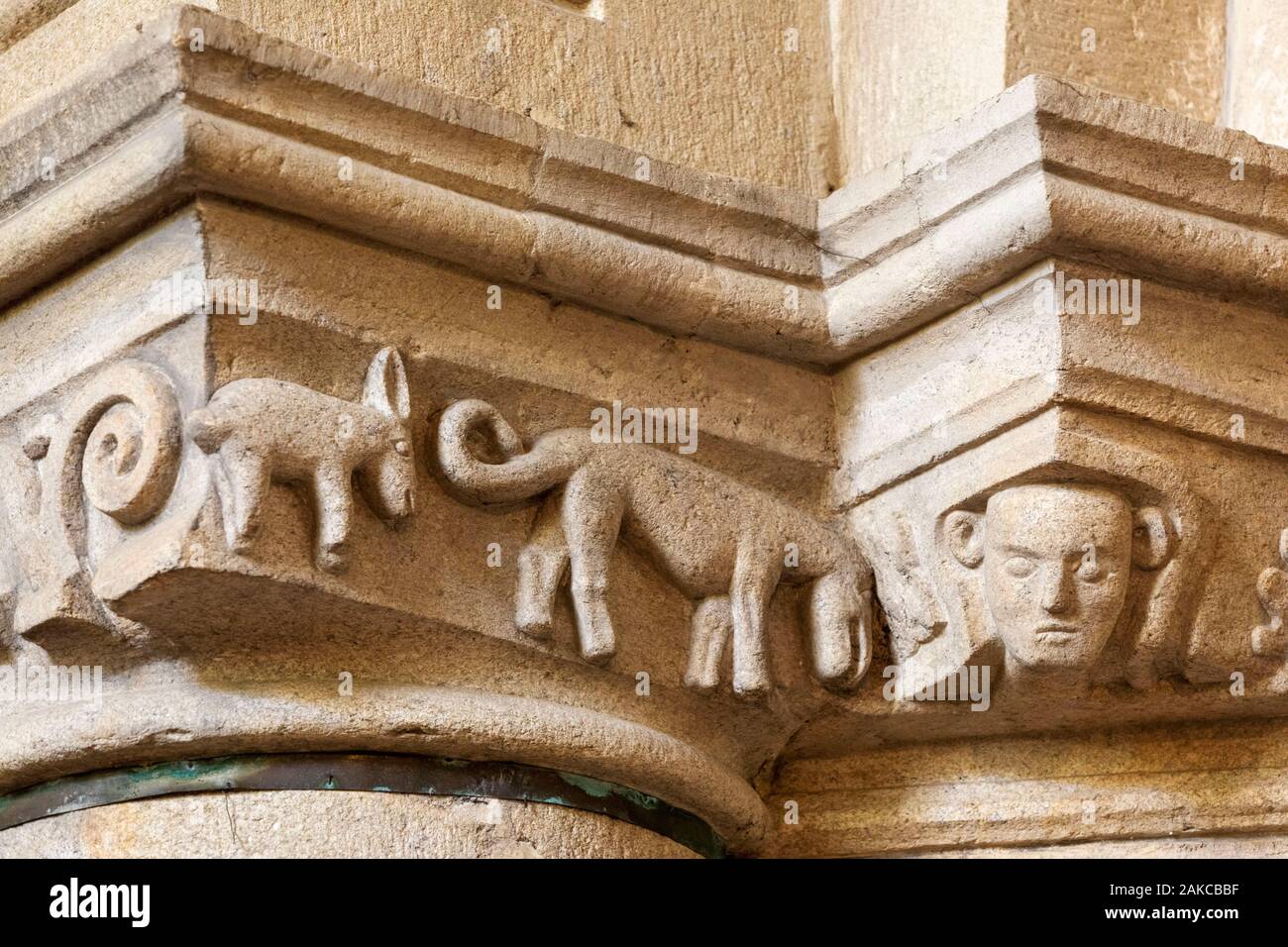 Frankreich, Morbihan, Josselin, mittelalterliches Dorf, Basilika Notre Dame du Roncier, Überbleibsel einer romanischen Kapital aus dem zwölften Jahrhundert, ein Hund vor einem anderen Tier, das aussieht wie ein Ram, seltene Tier Darstellung in einer Kirche Stockfoto