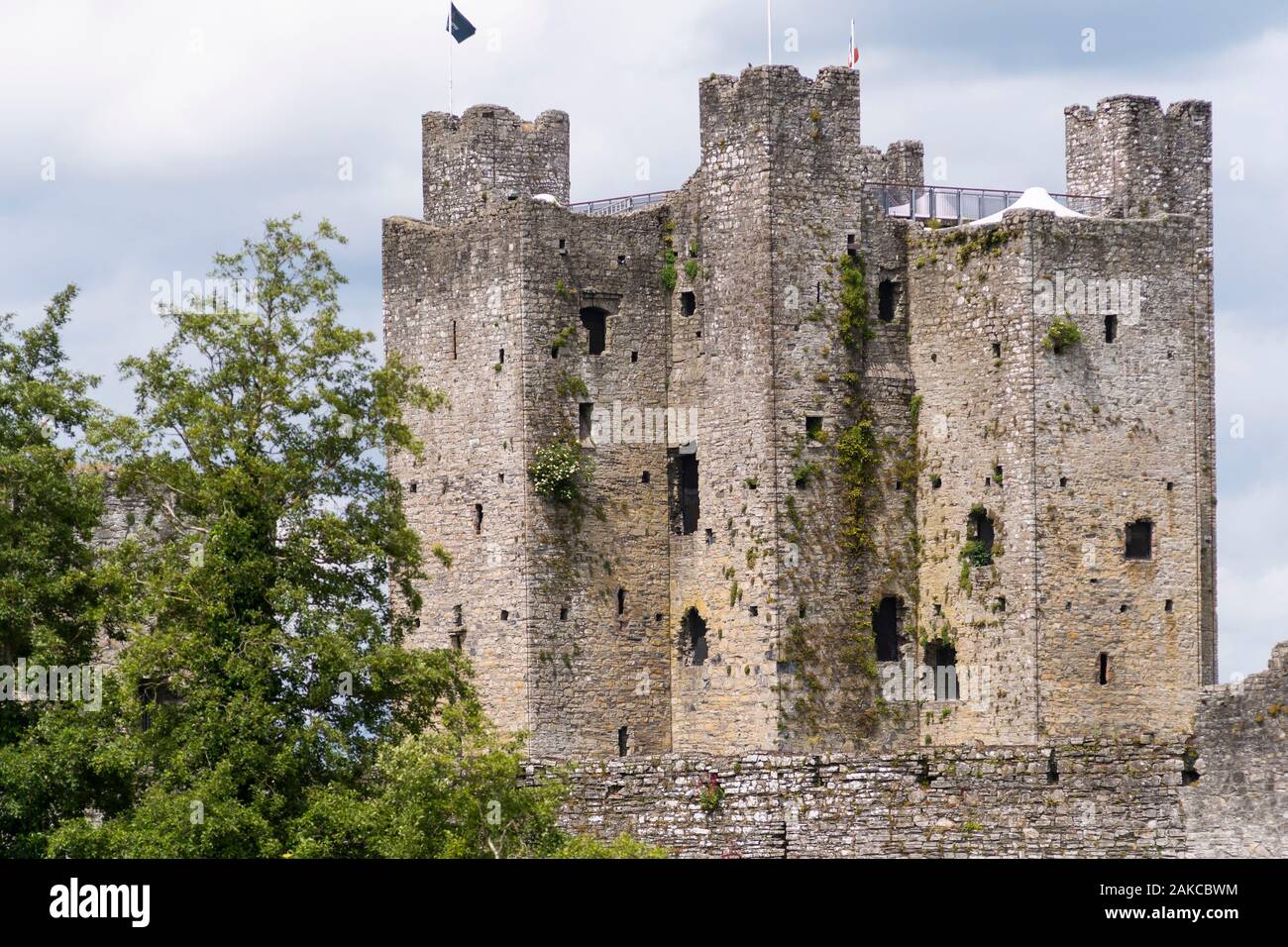 Irland, Meath County, Trim Castle Stockfoto