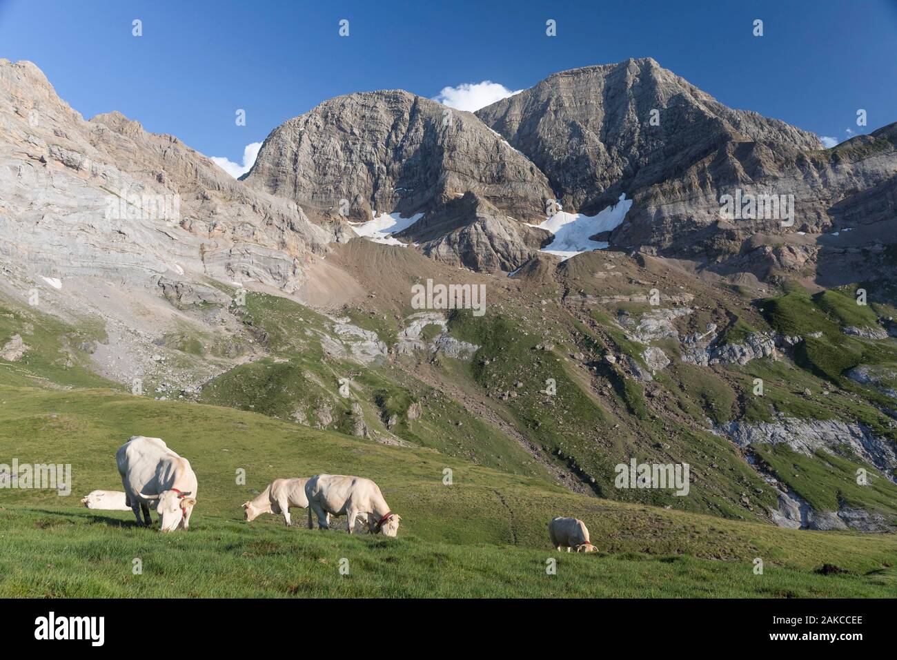 Frankreich, Hautes Pyrenees, Gavarnie, die astazou Peaks von Espuguettes Hütte gesehen, UNESCO Weltkulturerbe Stockfoto