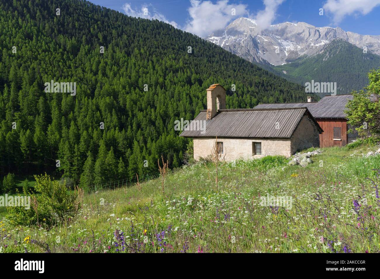 Frankreich, Hautes Alpes, Ceillac, regionalpark Queyras, Weiler Le Villard, Sainte Barbe Kapelle Stockfoto