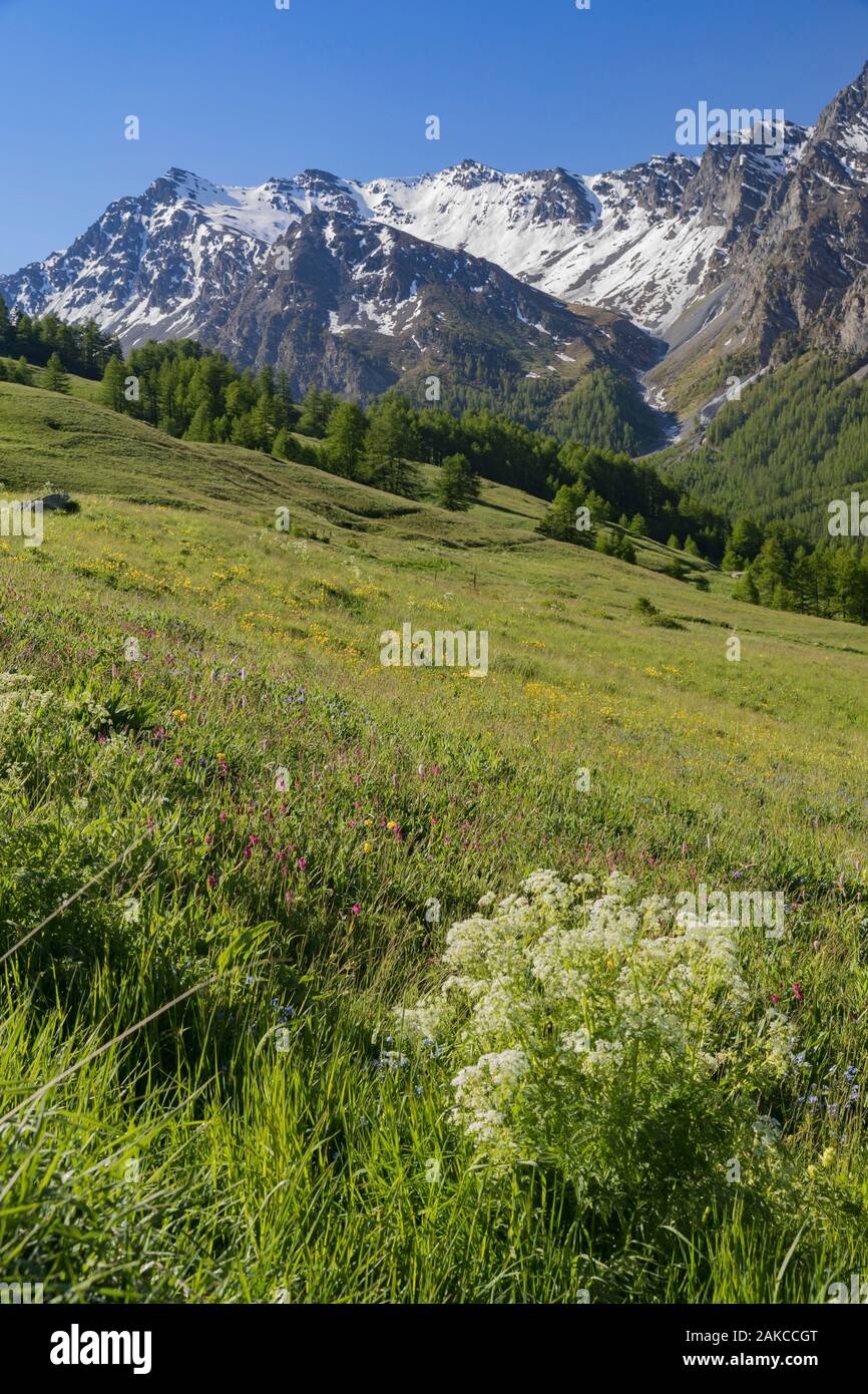 Frankreich, Hautes Alpes, Saint Veran, Regionaler Naturpark Queyras Stockfoto