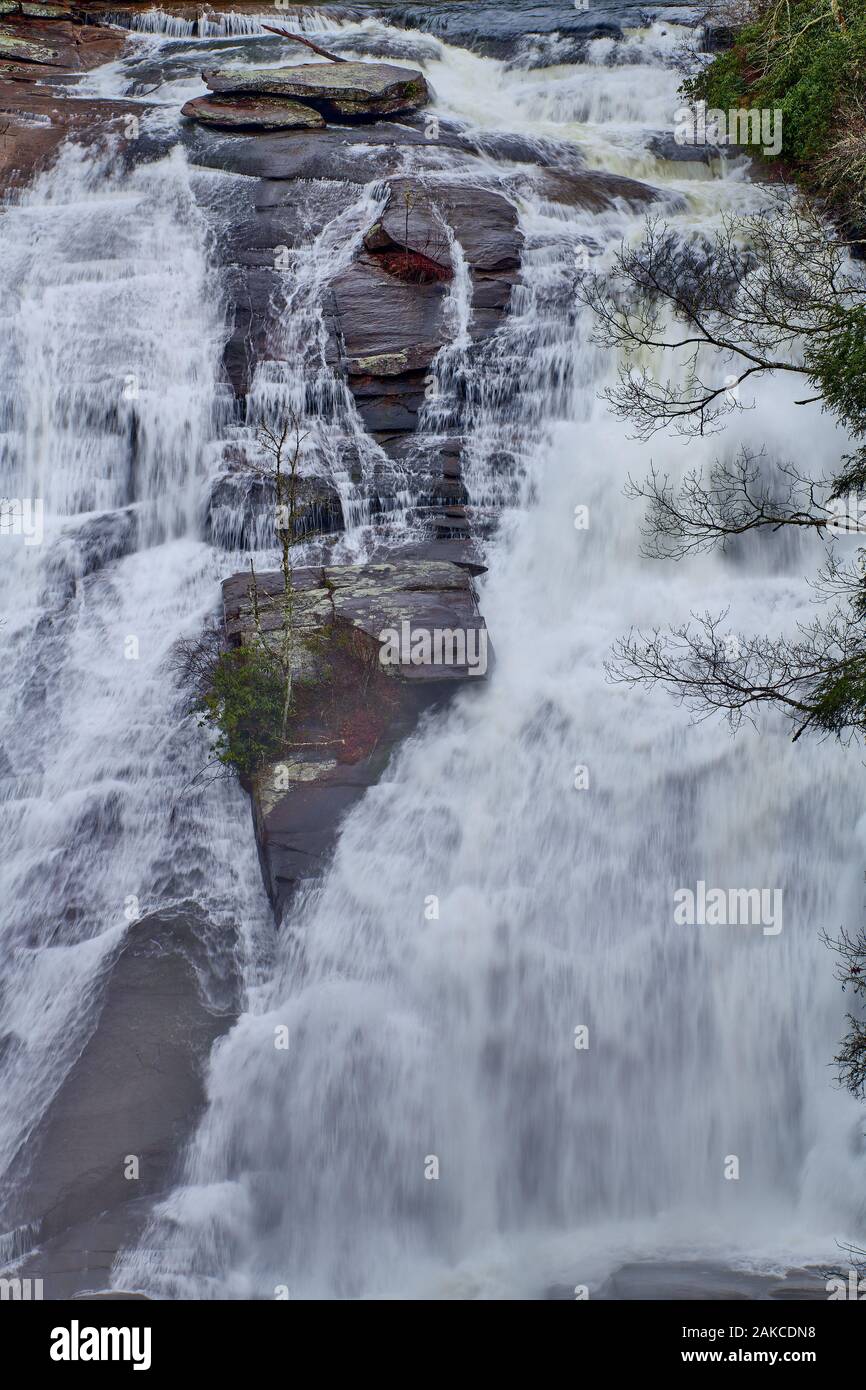 Enge Schuß von Hohen fällt in der Dupont State Forest, North Carolina. Stockfoto