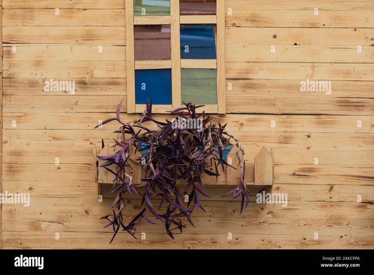 Verwitterte Holzstruktur mit Holzblumenkasten und bunten Fensterbrillen, natürliche Wandtafeln Stockfoto