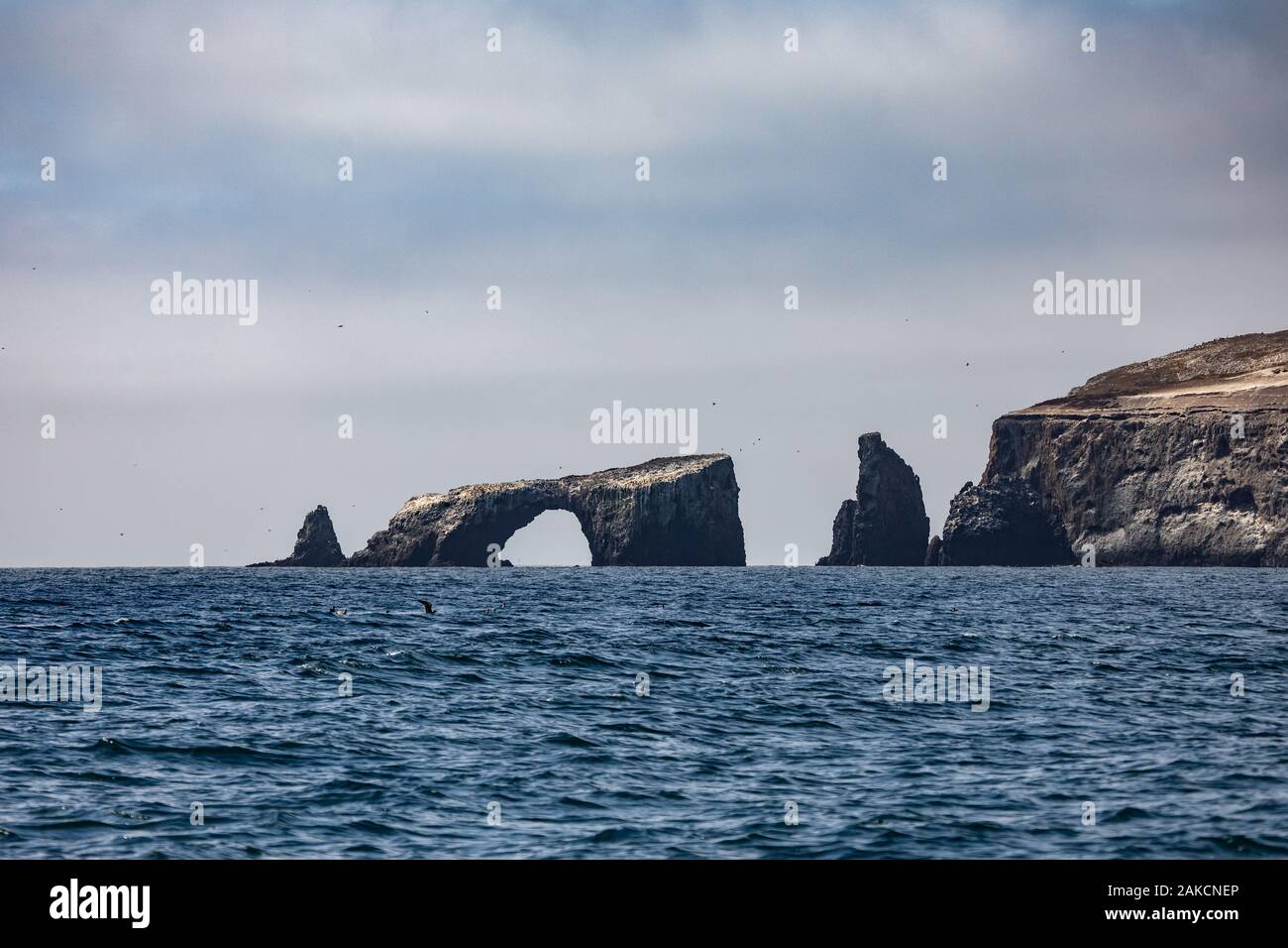 Kanalinseln Stockfoto