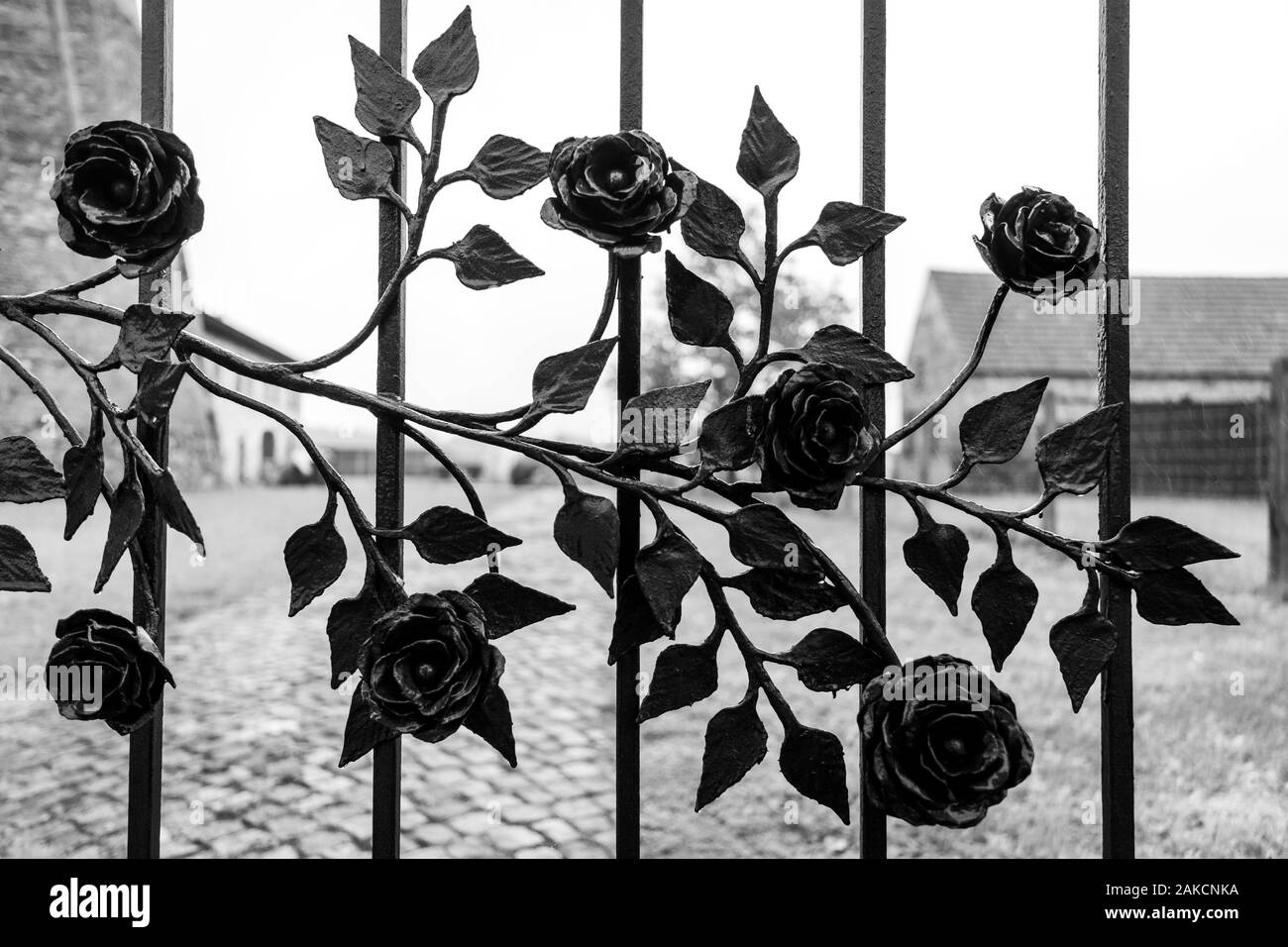 Metallzaun dekoriert mit schmiedeeisernen dekorative Rosen. Schwarz und Weiß. Stockfoto