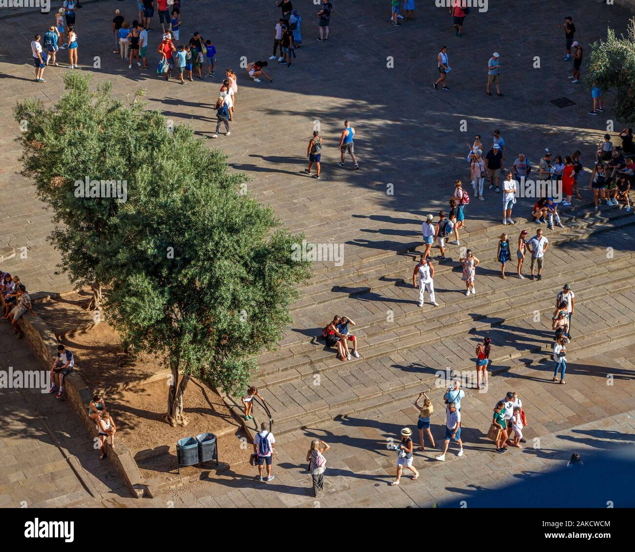 Touristen und Besucher der Heilig-Kreuz-Kathedrale und der Heiligen Eulalia an der Placita de la Seu in Barcelona, Spanien. Stockfoto