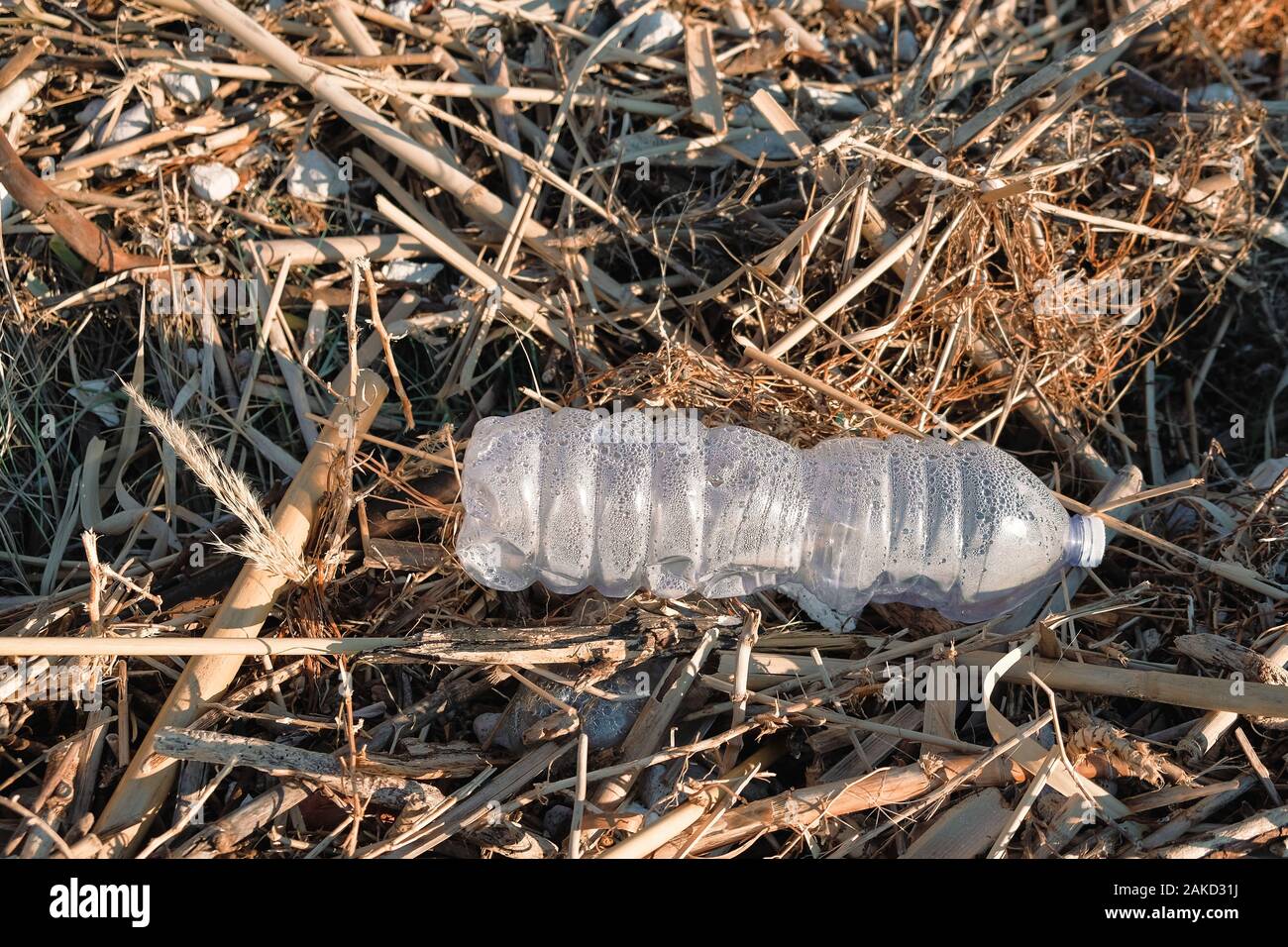 Plastikflasche Abfälle auf wilde Küste verschmutzt Vegetation Ökosystem, Planeten retten Stockfoto