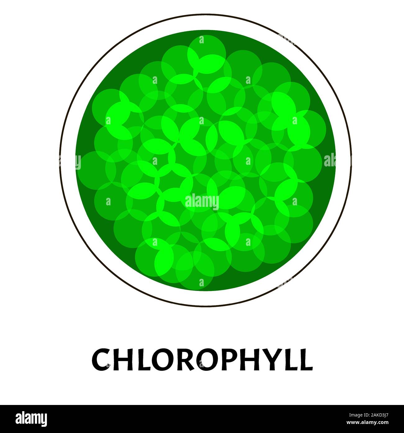 Chlorophyll. Grüne Färbung der Blätter. Chlorophyll Struktur. Vector Illustration auf isolierte Hintergrund. Stock Vektor