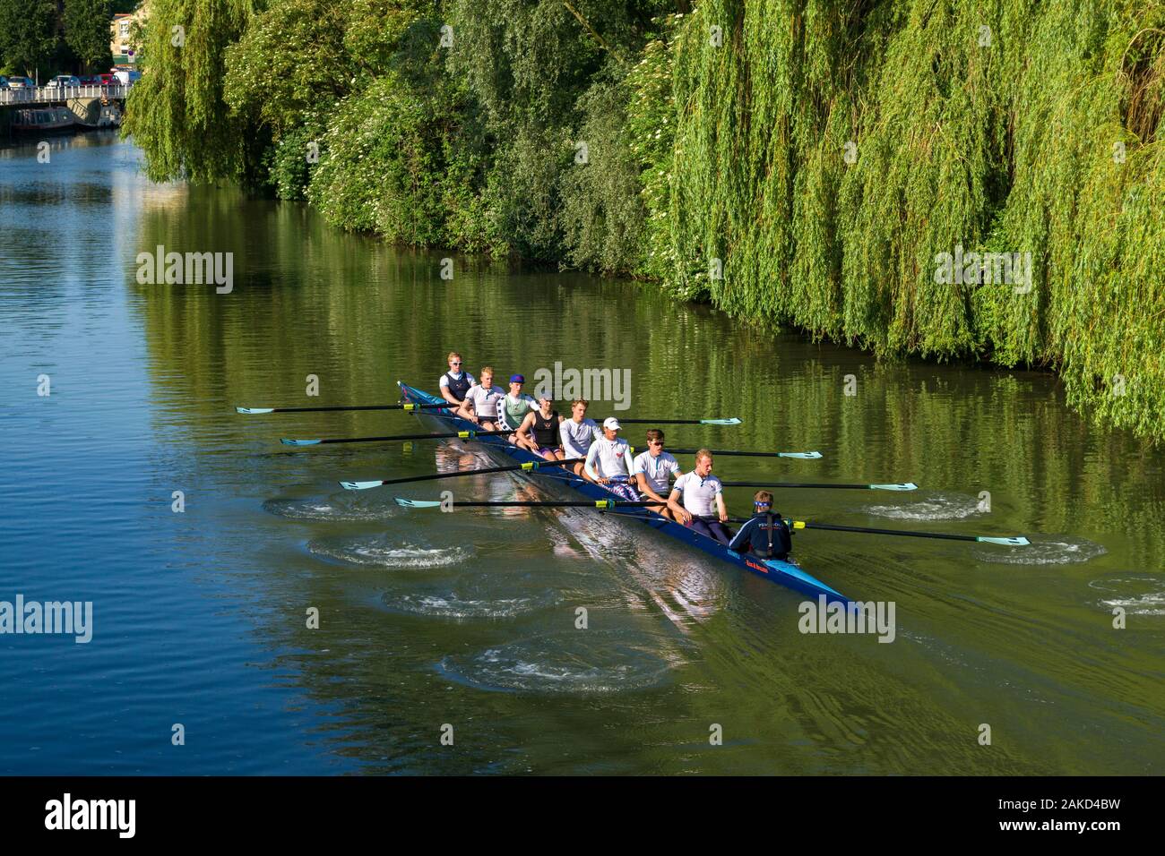 Acht Mannschaft Ruderboot mit Männern und Frauen Rudern auf dem Fluss Cam  an einem sonnigen Tag Sommer, Cambridge Stockfotografie - Alamy