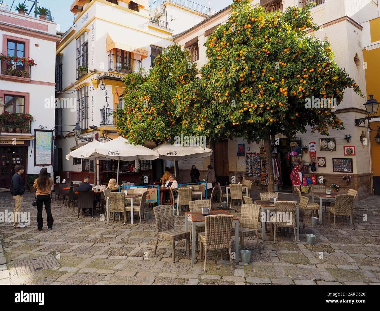 Kleiner Platz im historischen Stadtzentrum von Sevilla mit orangefarbenen Bäumen. Sevilla, Andalusien, Spanien Stockfoto