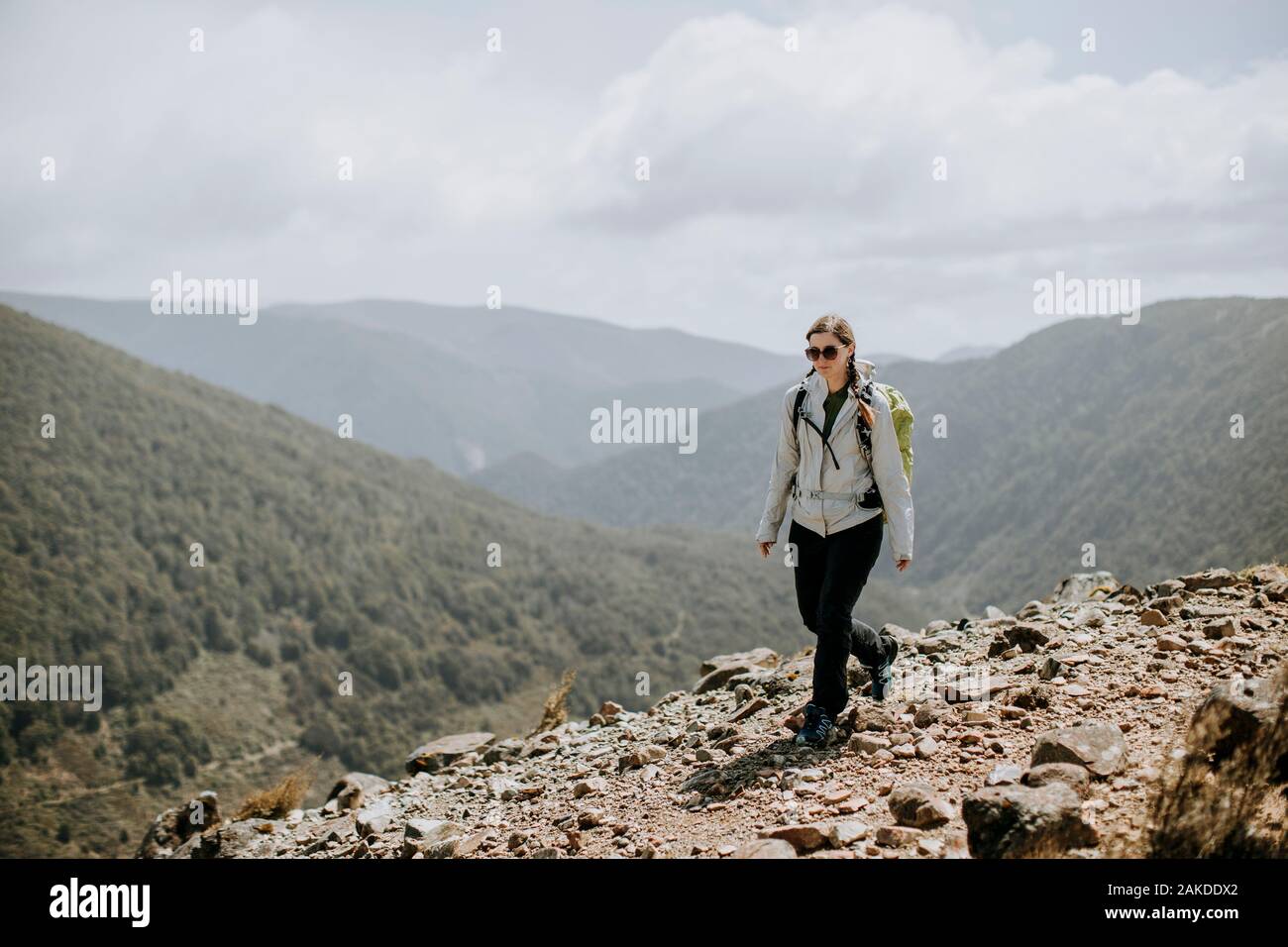 Wanderlehrpfad für Frauen im Kahurangi National Park, Neuseeland Stockfoto