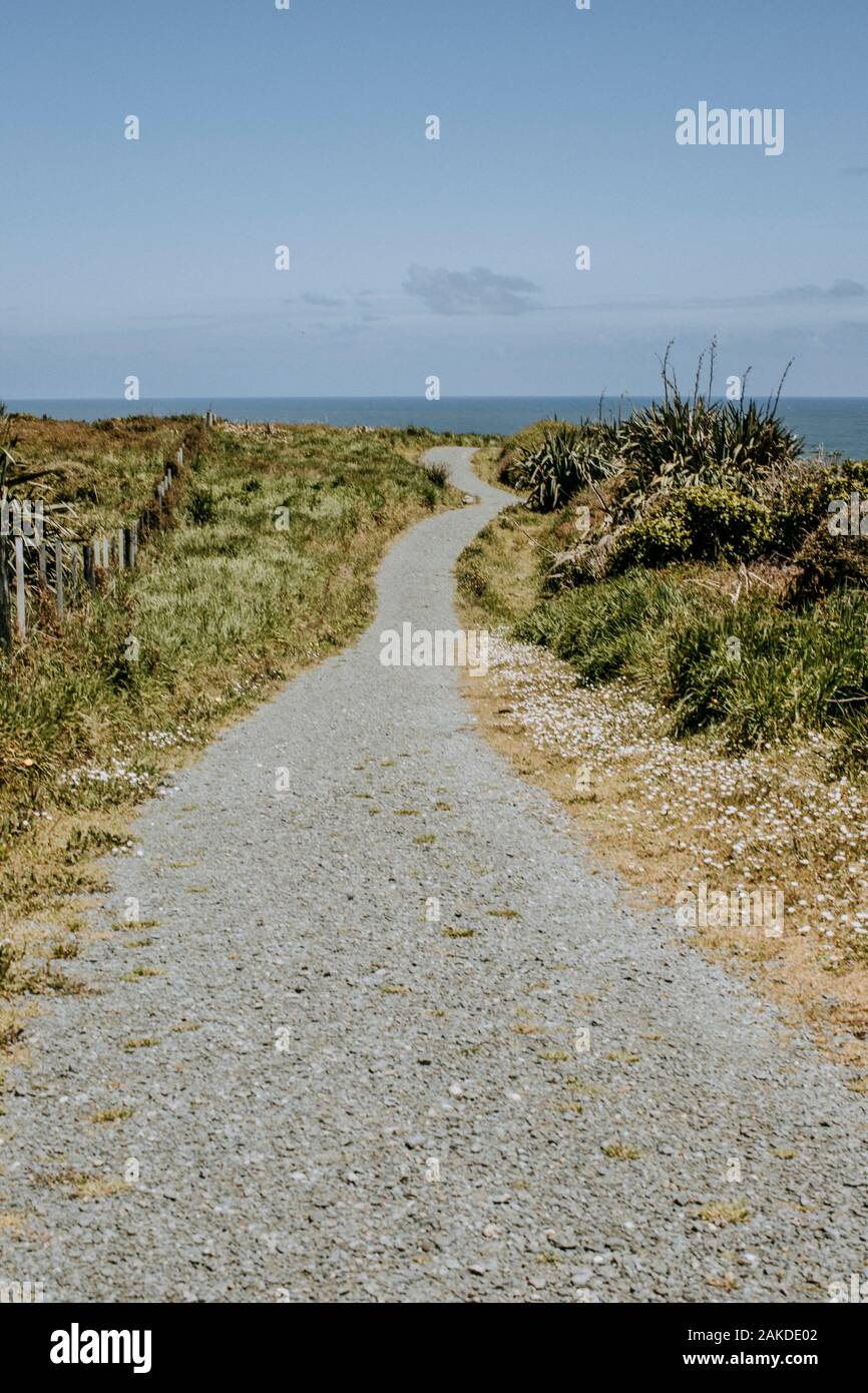 Der Wanderweg schlängelt sich entlang der Küste, Cape Foulwind, Neuseeland Stockfoto