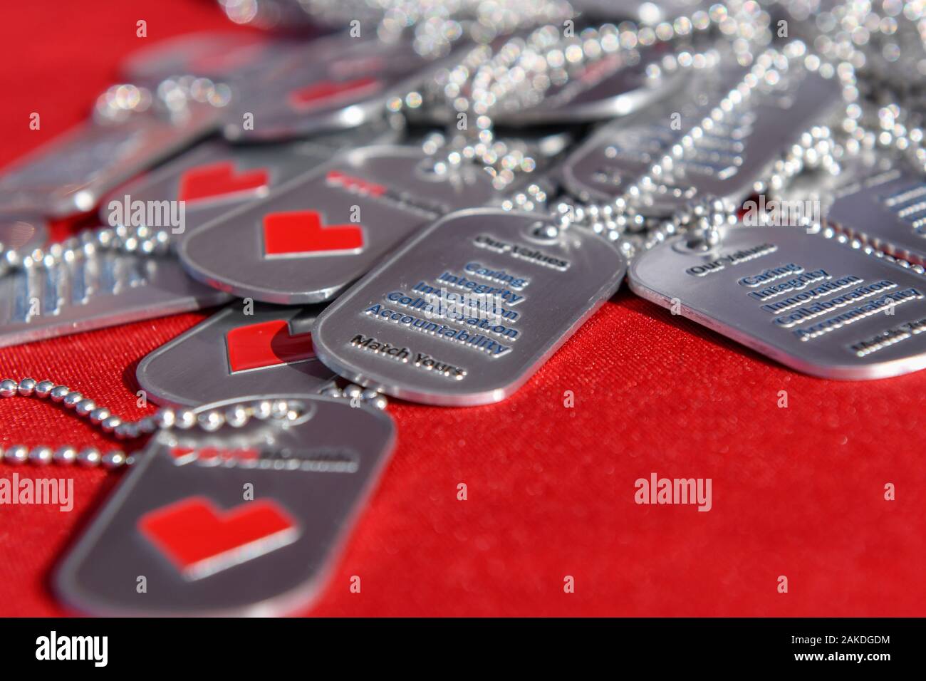 CVS-Dog Tags Stockfoto
