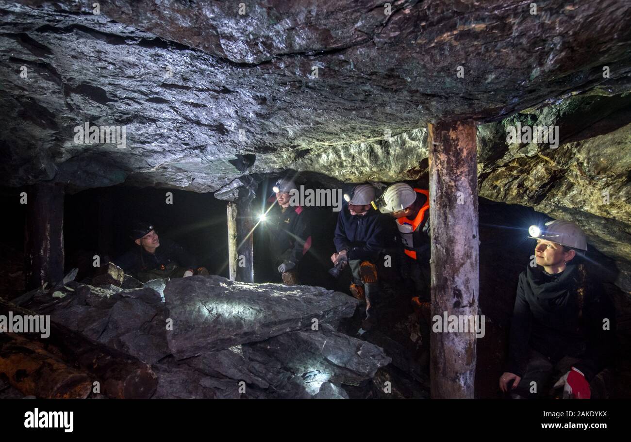 28 November 2019, Sachsen-Anhalt, Sangerhausen: Thomas Wäsche (l), Reiseführer, führt eine Exkursion durch die alten Bergbau in der wettelrode Röhrig Welle. Seit etwa 20 Jahren das Museum 'ErlebnisZentrum Bergbau Röhrigschacht Wettelrode' bietet hat längere Ausflüge im Untergrund in einer Tiefe von etwa 300 m. Vor kurzem wurde eine neue Tour gestartet wurde, in denen ein Teil der Strecke durch die Kanus abgedeckt ist. Die ersten Bergleute graben begann für Kupfererz in der Mansfelder Land etwa vor 800 Jahren. Ab dem Jahr 1750 ff., intensive Bergbau wurde durchgeführt. Insgesamt wurden rund 2,6 Mio. Stockfoto