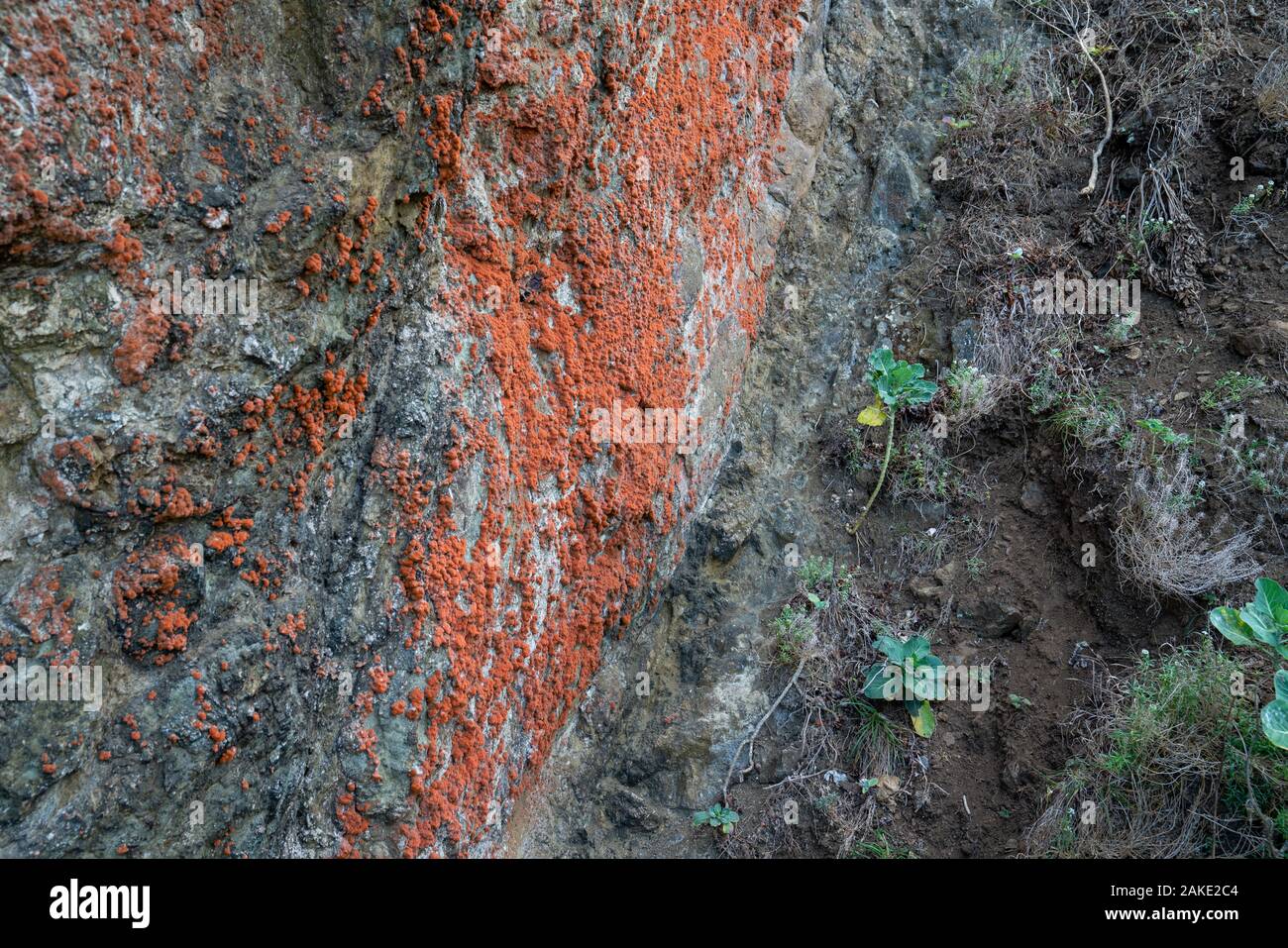 Rostflecken auf der Seite eines Berges Felswand Stockfoto