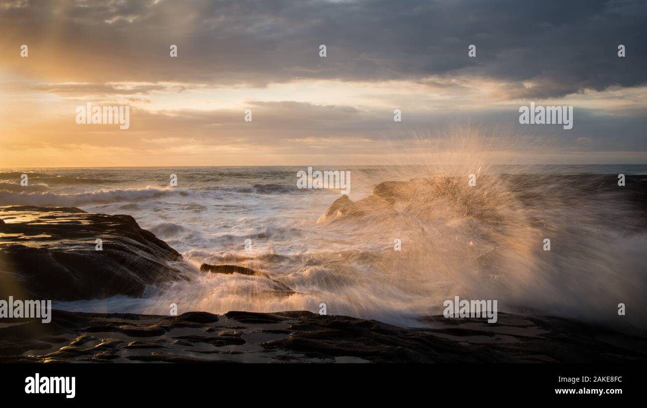 Spashing Wellen in Muriwai Beach, West Auckland Stockfoto