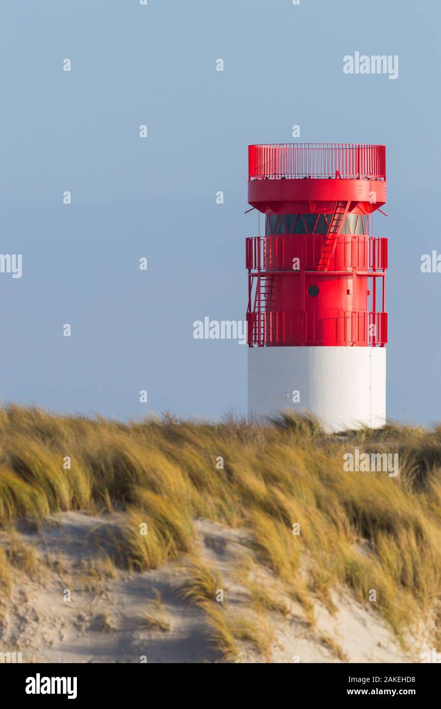 Rote Leuchtturm auf Helgoland Duene Insel im blauen Himmel, Sand Strand in Morgensonne Stockfoto
