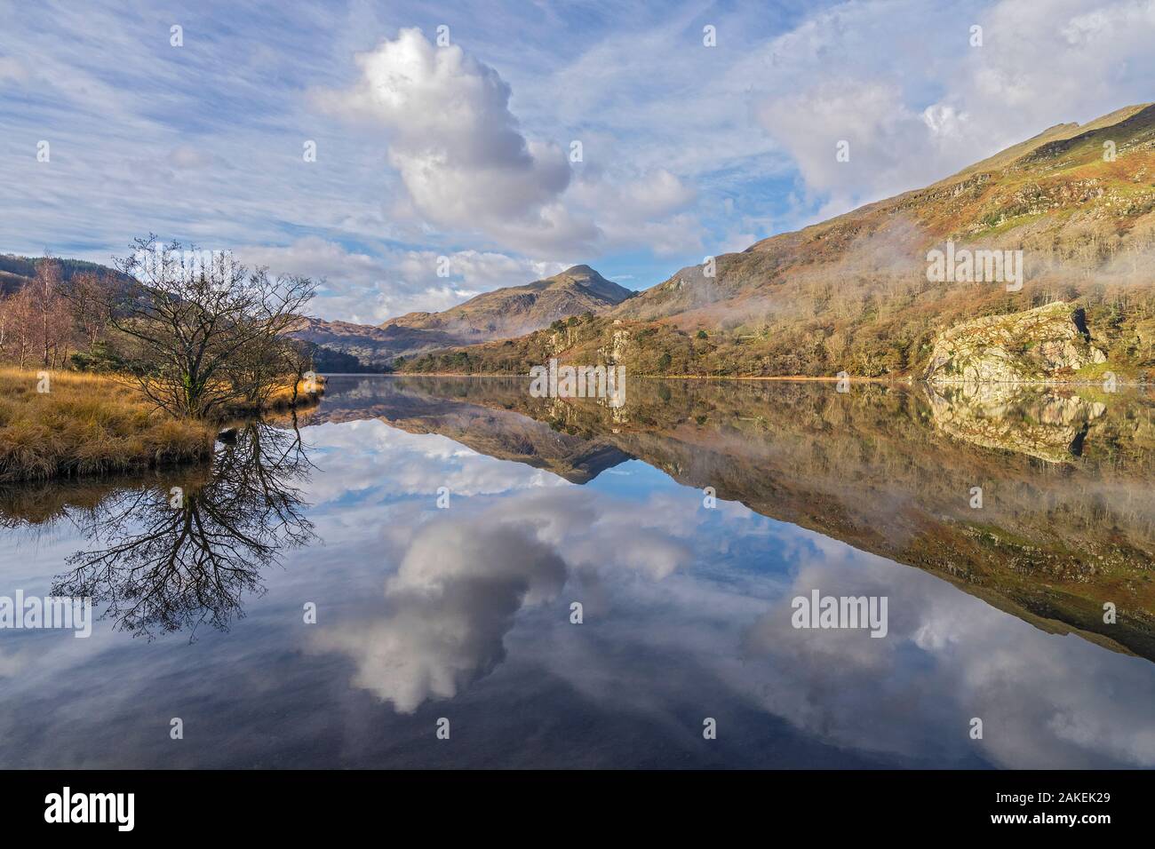 Reflexionen in Llyn Gwynant auf einem nebligen Morgen, glaslyn Tal, mit Yr Aran Berg im Hintergrund, Snowdonia National Park, North Wales, UK, November 2017. Stockfoto