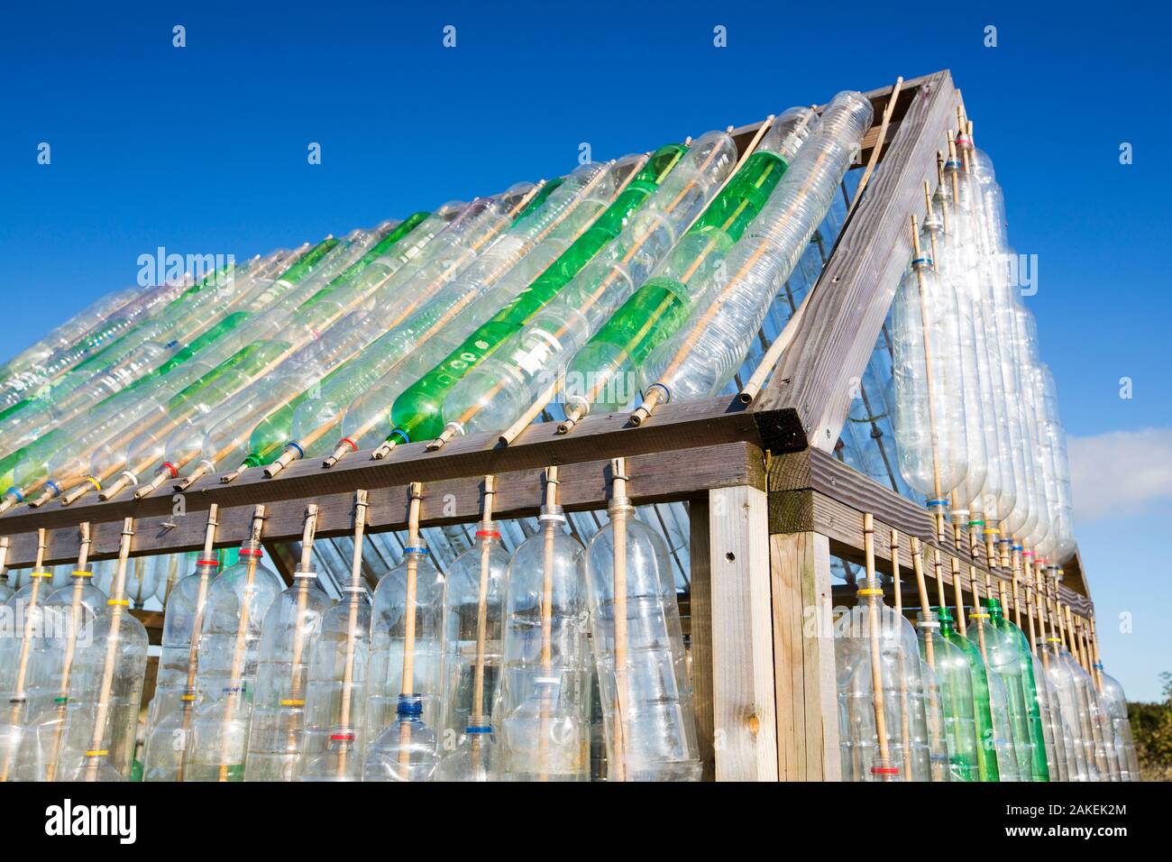Gewächshaus aus Abfall Kunststoff getränke Flaschen in der Gemeinschaft Garten in Mount Pleasant ökologischen Park, Porthtowan, Cornwall, UK. Stockfoto