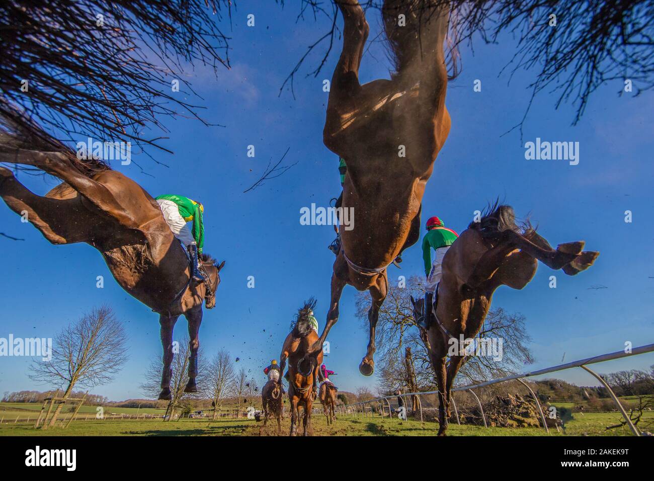 Punkt-zu-Punkt Pferderennen, Low Angle View der Rennpferde springen Zaun, Monmouthshire, Wales, UK. März 2014. Stockfoto