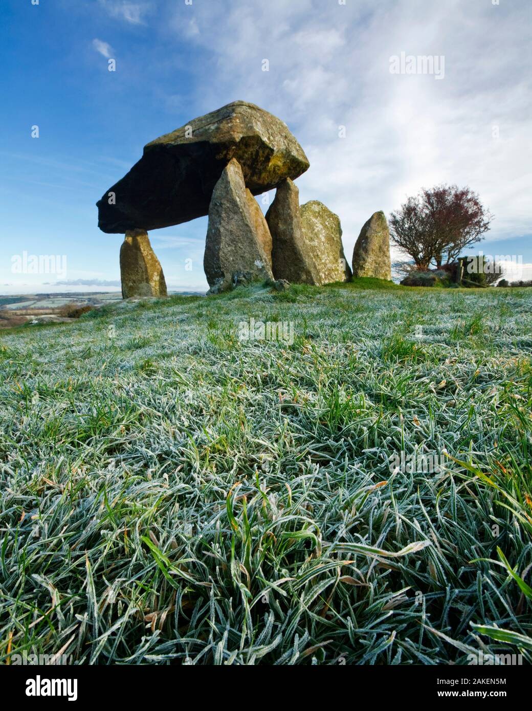 Pentre Ifan, eine neolithische Grabkammer, Nevern, Pembrokeshire, Wales, UK. November 2008 Stockfoto