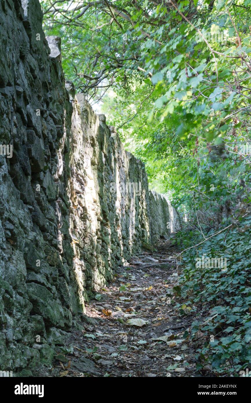 Haren, Deutschland. 15 Sep, 2018. Blick auf einen Pfad mit einer Steinmauer. Quelle: Stephan Schulz/dpa-Zentralbild/ZB/dpa/Alamy leben Nachrichten Stockfoto