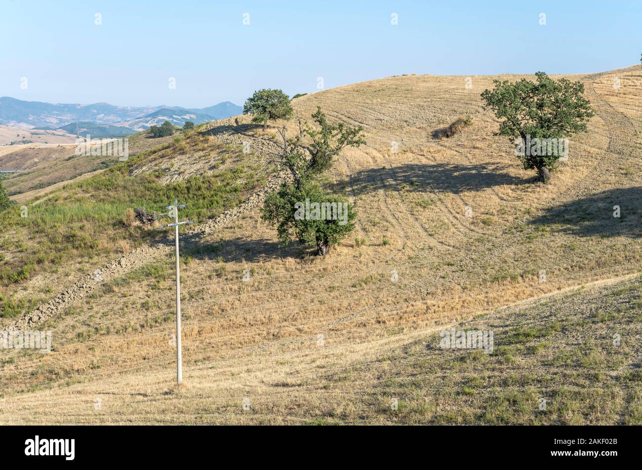 Landschaft des südlichen Apenninen mit Bäumen auf ausgetrocknet Hang, in hellen Sommer Licht in der Nähe von Roccanova, Matera, Basilikata, Italien geschossen Stockfoto