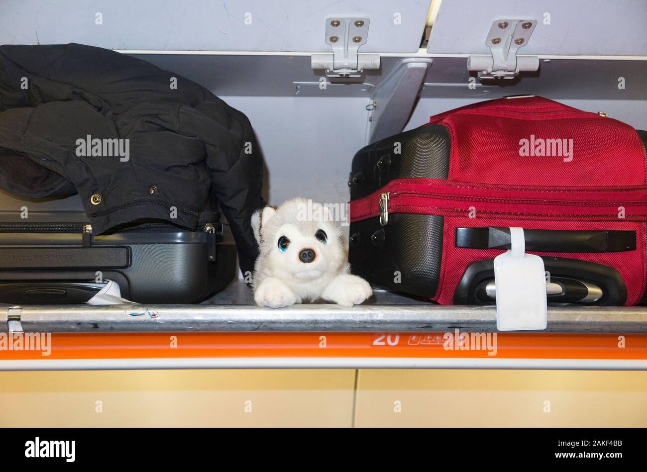 Childs weiches Spielzeug, ein Kuschelwolf, mit Handtaschen für Passagiere, im Flugzeug Luftflugzeug über Gepäckfach/Schließfach/Schließfach/Fach/Fächer (105) Stockfoto