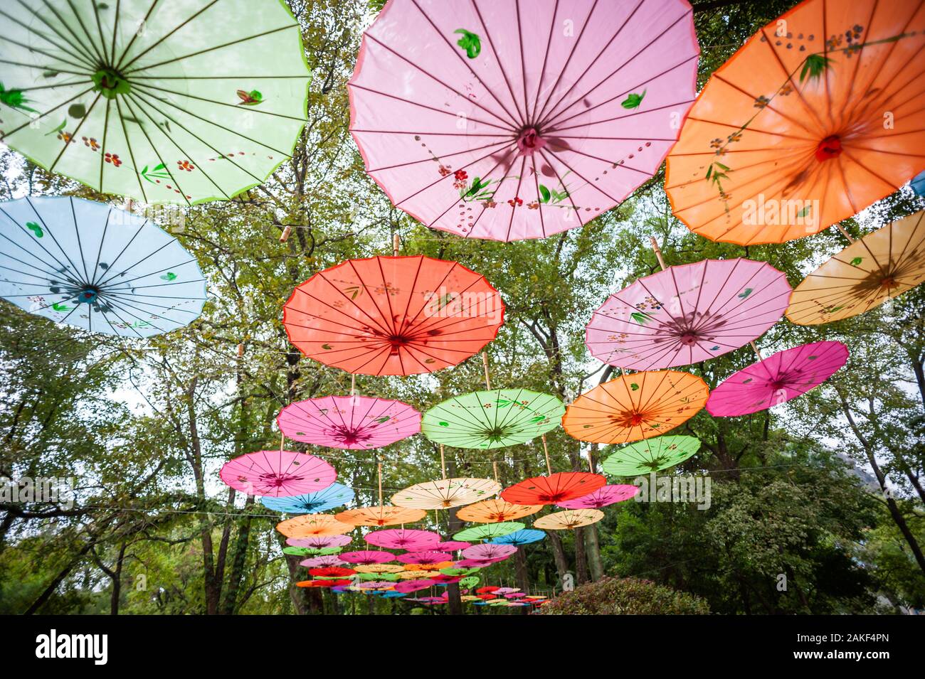 Chinesische traditionelle bunte Sonnenschirme auf Bäumen Low Angle View in Guilin, Guangxi Provinz, China erhängt Stockfoto