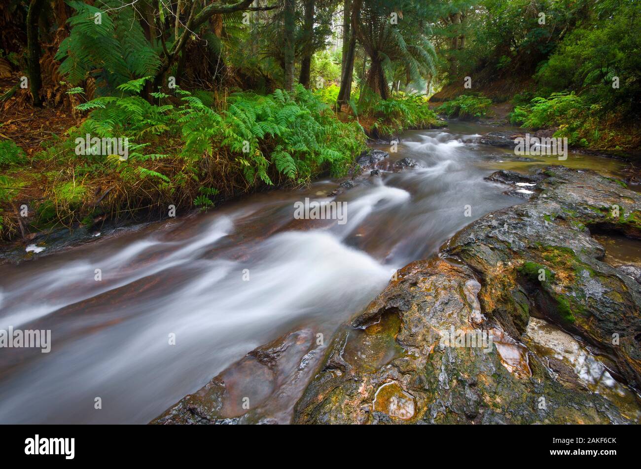 Hobbiton - Neuseeland Stockfoto