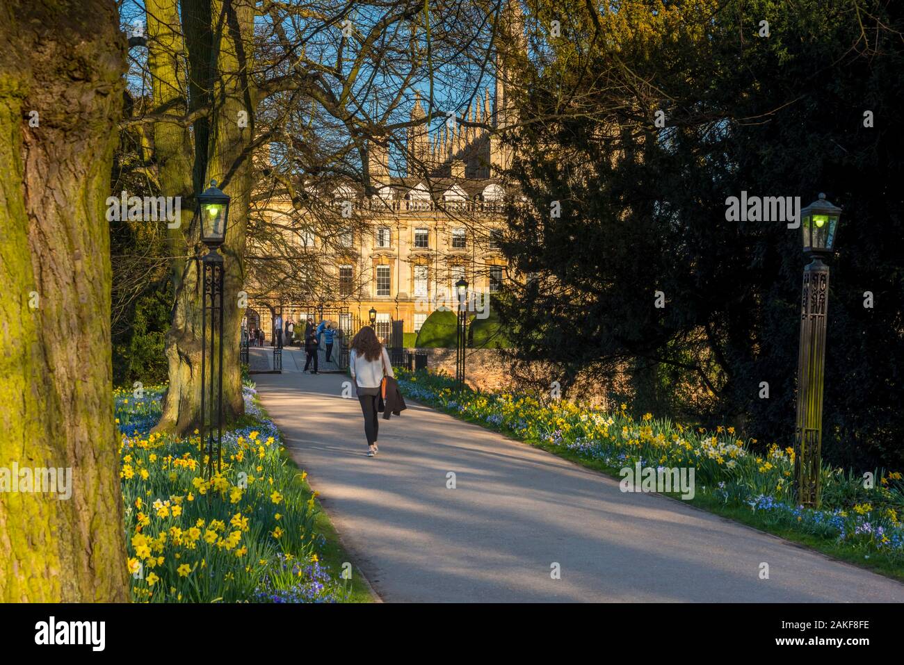 Großbritannien, England, Cambridgeshire, Cambridge, King's College von Clare College im Frühjahr Stockfoto