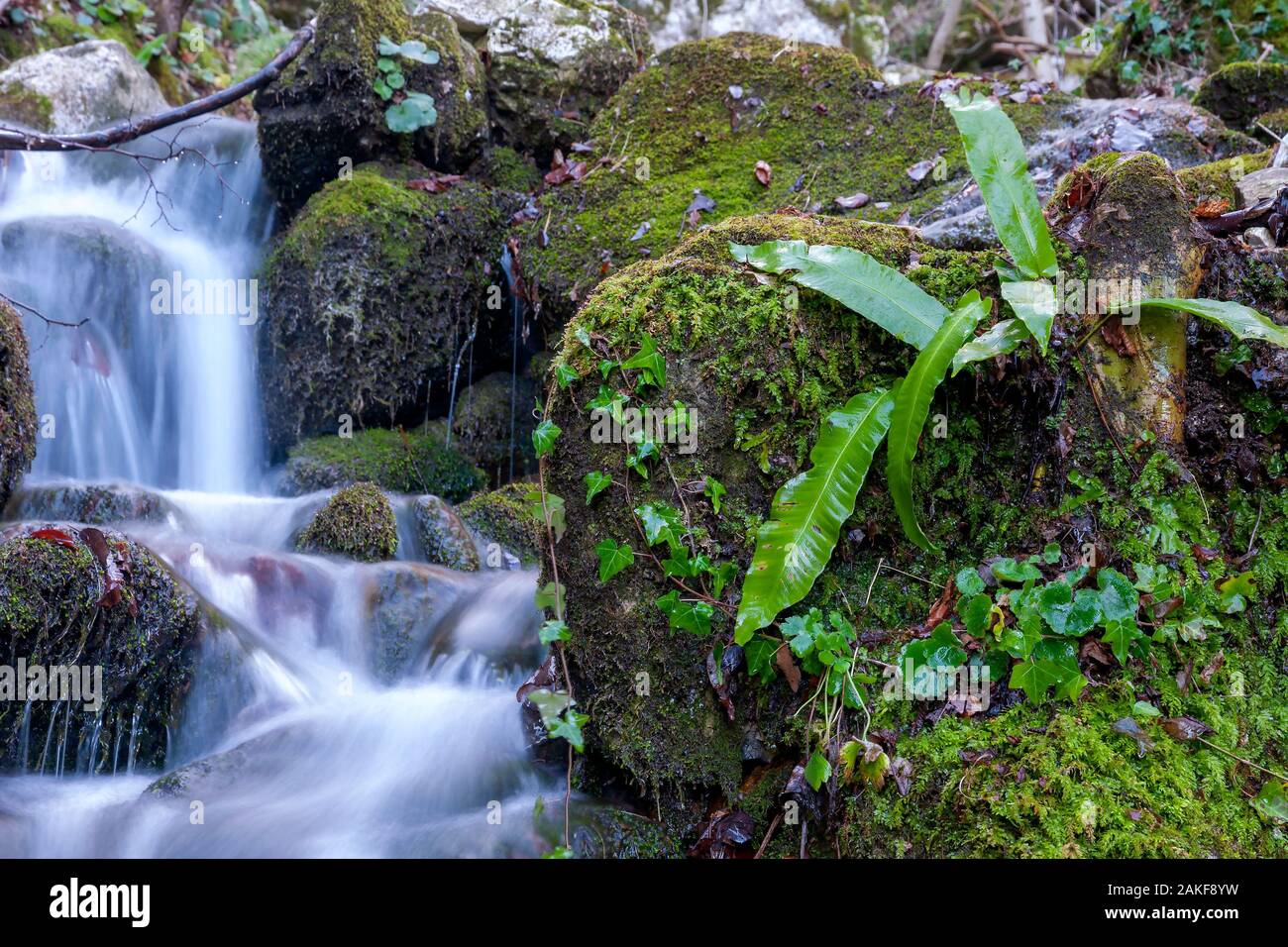 Ein wunderschöner Wasserfall entlang eines Baches in der Sibillini Nationalpark Stockfoto