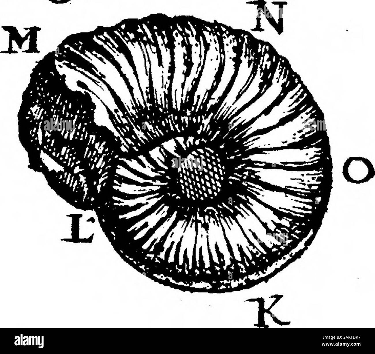 Beobachtungen von Kapitän Stannyan der Spots, die Erscheinen, würde nach dem Körper von der Sonne in den Monaten Mai, Juni und Juli, im Jahr 1704 von Herrn Hodgson, FRS mitgeteilt. . Ji 0 - ^4-. GJ^^ Stockfoto