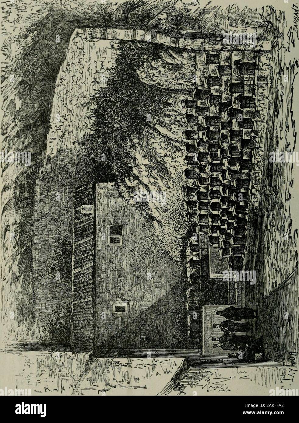 Das ABC der Biene Kultur: ein cyclopedia von jede Sache, die in Bezug auf die Pflege der Honig-Biene, Bienen, Honig, Nesselsucht, Arbeitsgeräte, Honig-Anlagen usw., Tatsachen von der Erfahrung von Tausenden von Imker alle über unser Land und später durch die praktische Arbeit in unserer eigenen Imkerei überprüft. T. S. ANDREWS IMKEREI, Farina, krank. ; Siehe Nachlese, S. 14, VOL. Xv. Stockfoto