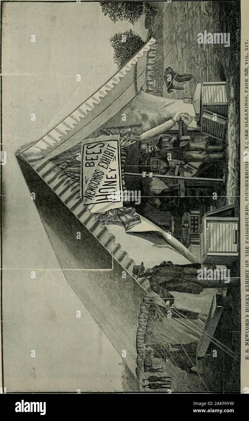 Das ABC der Biene Kultur: ein cyclopedia von jede Sache, die in Bezug auf die Pflege der Honig-Biene, Bienen, Honig, Nesselsucht, Arbeitsgeräte, Honig-Anlagen usw., Tatsachen von der Erfahrung von Tausenden von Imker alle über unser Land und später durch die praktische Arbeit in unserer eigenen Imkerei überprüft. O. M. BLANTONS BIENENHAUS, Greenville, vermissen. ; SEBIQLBANINGS, Seite 341, VOL. Xiii. Stockfoto