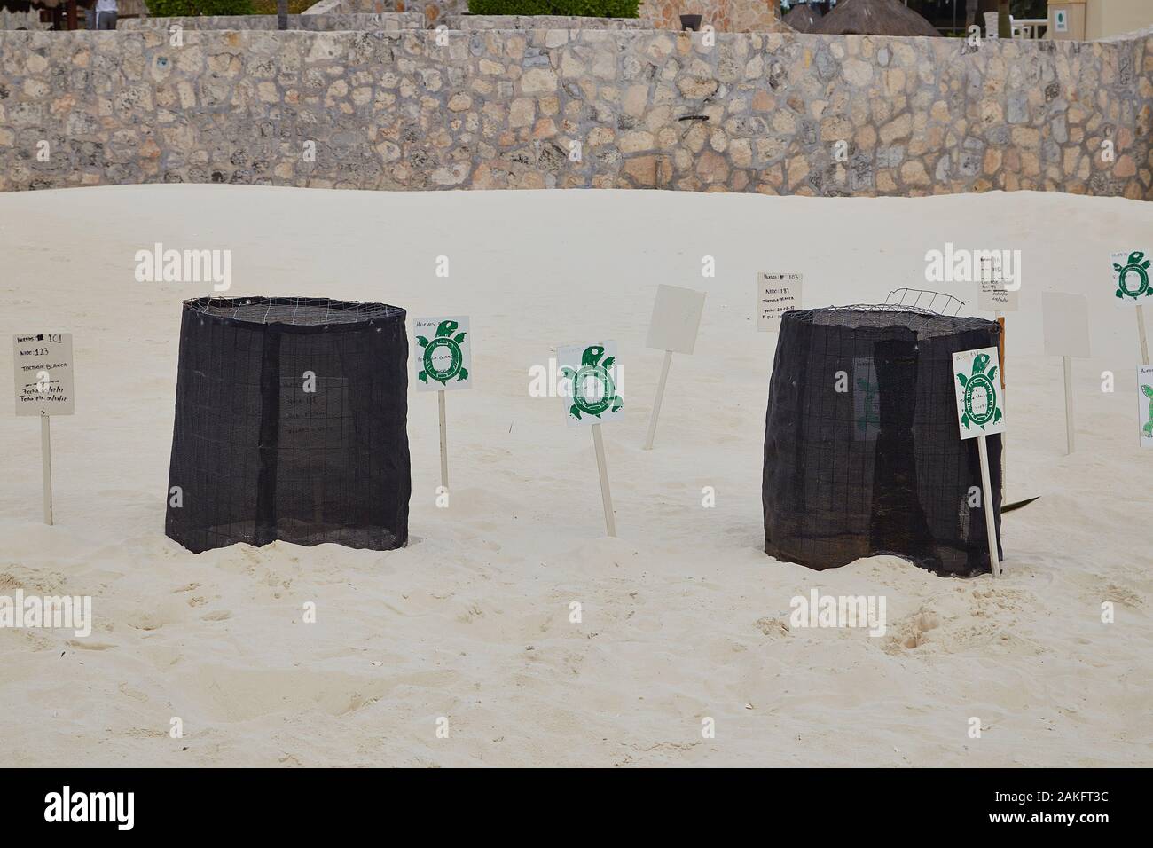 Eine schützende Schildkrötenei, in der Eier überwacht werden, bis sie geschlüpft sind und dann in Cancun, Mexiko ins Meer entlassen werden Stockfoto