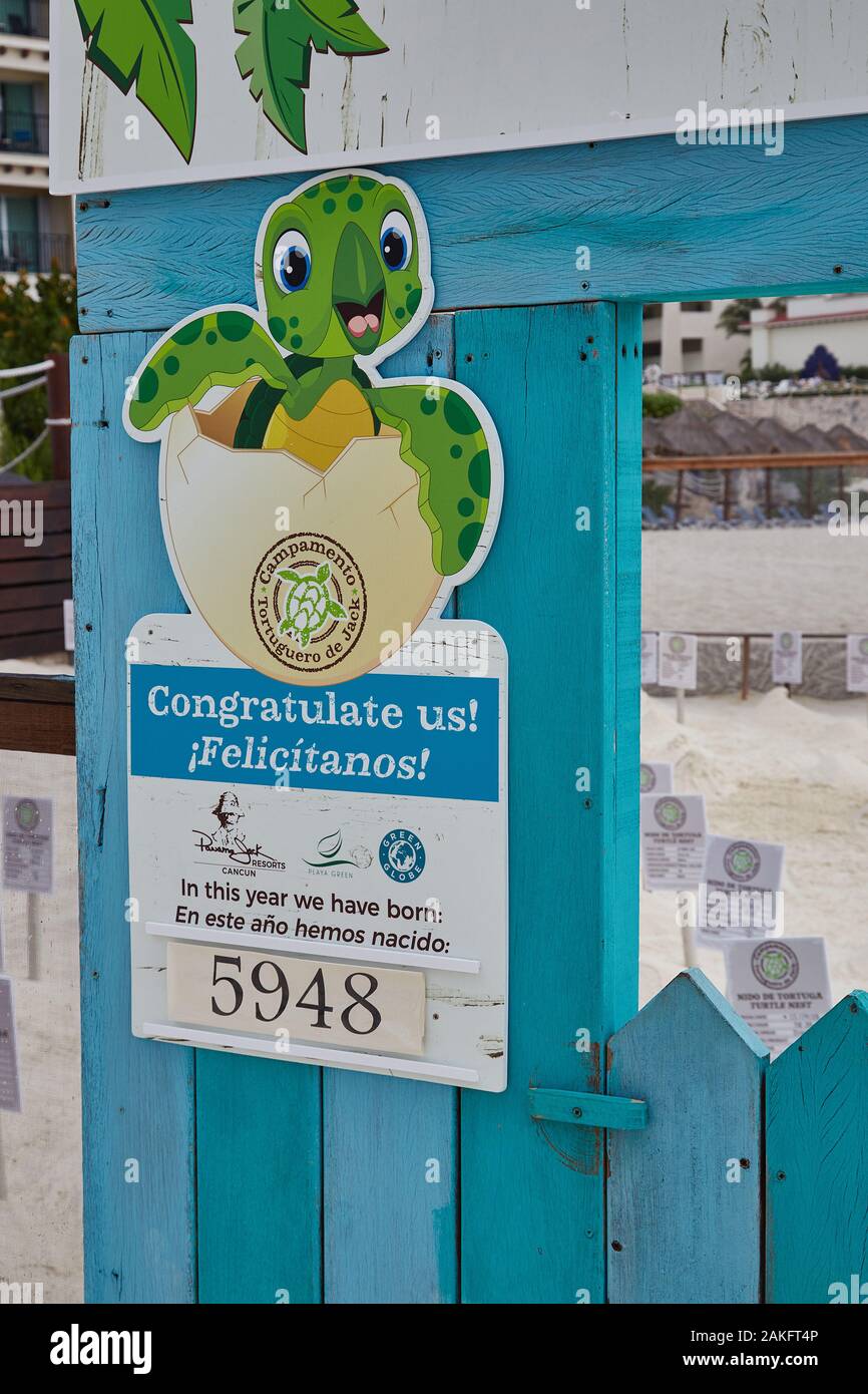 Eine schützende Schildkrötenei, in der Eier überwacht werden, bis sie geschlüpft sind und dann in Cancun, Mexiko ins Meer entlassen werden Stockfoto