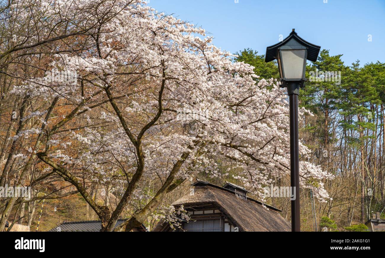 Michinoku Folklore Dorf im Frühling Saison sonnigen Tag. Kitakami Tenshochi Park Kirschblüten Matsuri fest. Kitakami, Iwate Präfektur, Japan Stockfoto