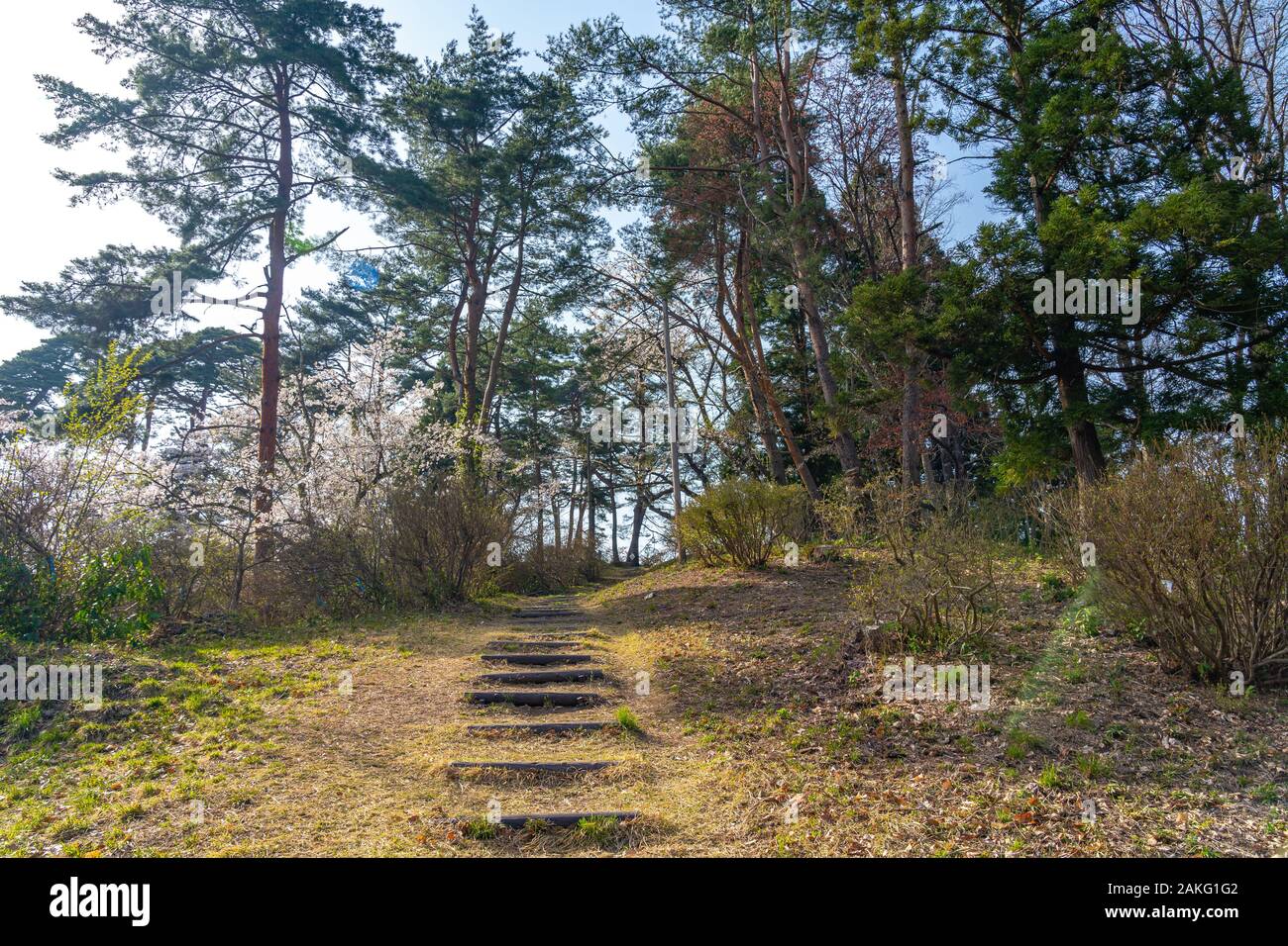 Michinoku Folklore Dorf im Frühling Saison sonnigen Tag. Kitakami Tenshochi Park Kirschblüten Matsuri fest. Kitakami, Iwate Präfektur, Japan Stockfoto