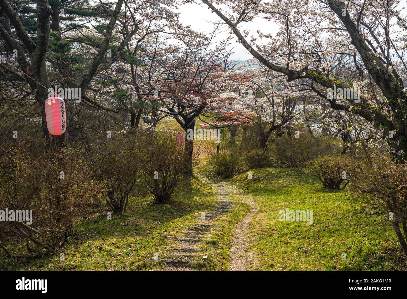 Michinoku Folklore Dorf im Frühling Saison sonnigen Tag. Kitakami Tenshochi Park Kirschblüten Matsuri fest. Kitakami, Iwate Präfektur, Japan Stockfoto